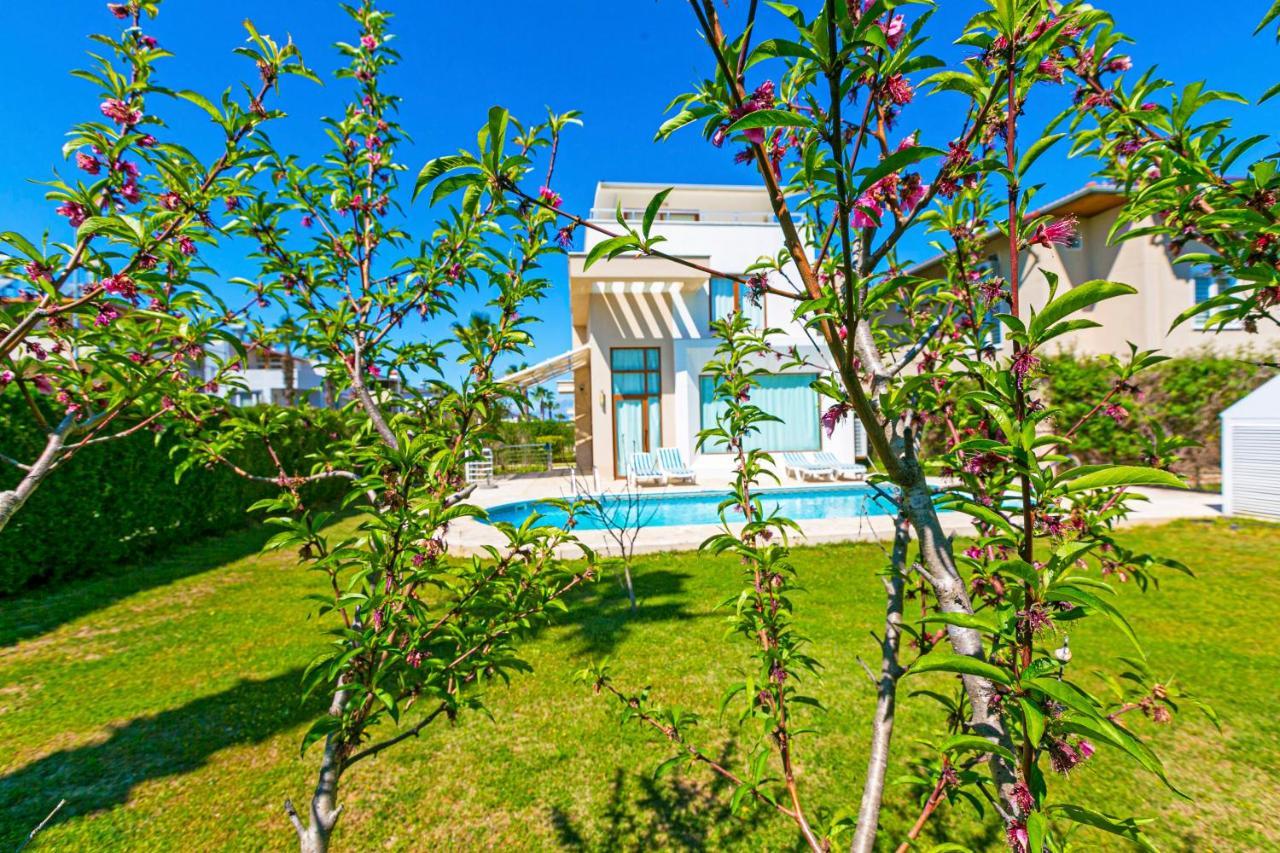 Paradise Town Villa Daisy Belek Eksteriør billede